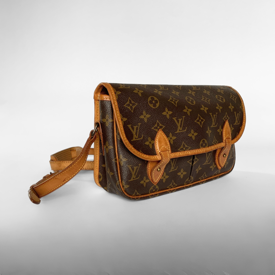 Louis Vuitton Gibecière Monogram Canvas