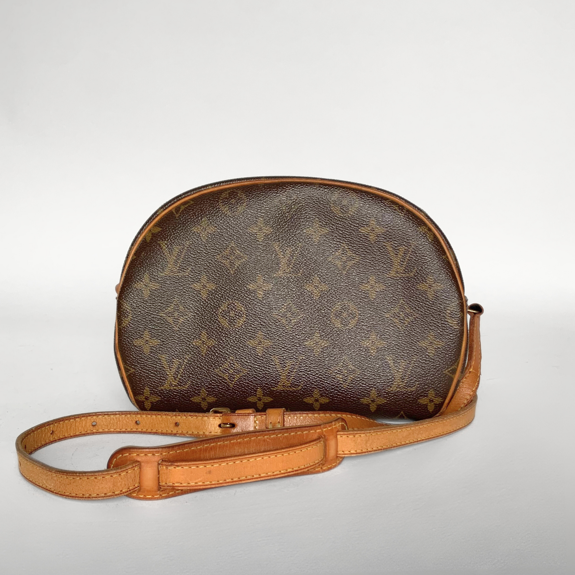 Louis Vuitton Louis Vuitton Blois Toile Monogram Canvas - Crossbody bags - Etoile Luxury Vintage