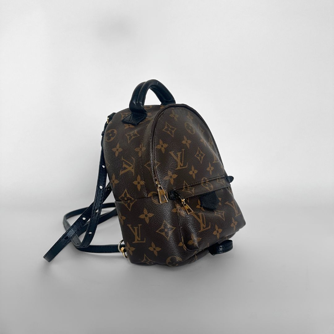 Louis Vuitton Louis Vuitton Palm Springs Backpack Monogram Canvas - Backpacks - Etoile Luxury Vintage