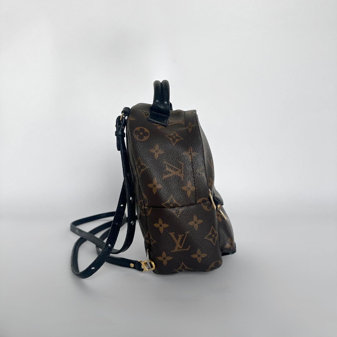 Louis Vuitton Louis Vuitton Palm Springs Backpack Monogram Canvas - Backpacks - Etoile Luxury Vintage