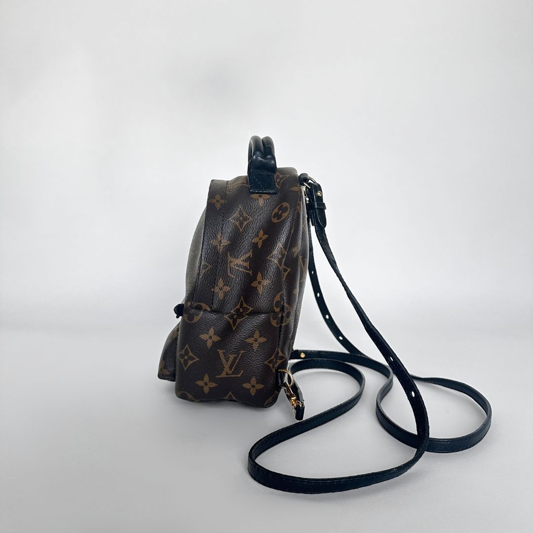 Louis Vuitton Louis Vuitton Palm Springs Backpack Monogram Canvas - Backpacks - Etoile Luxury Vintage